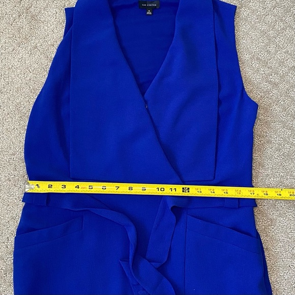 The Limited Blue Belted Dress - Picture 12 of 15